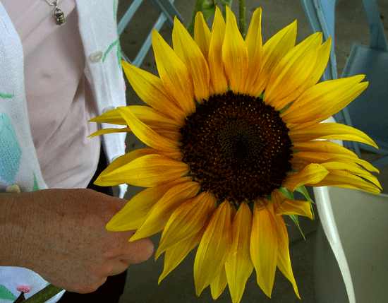 florista